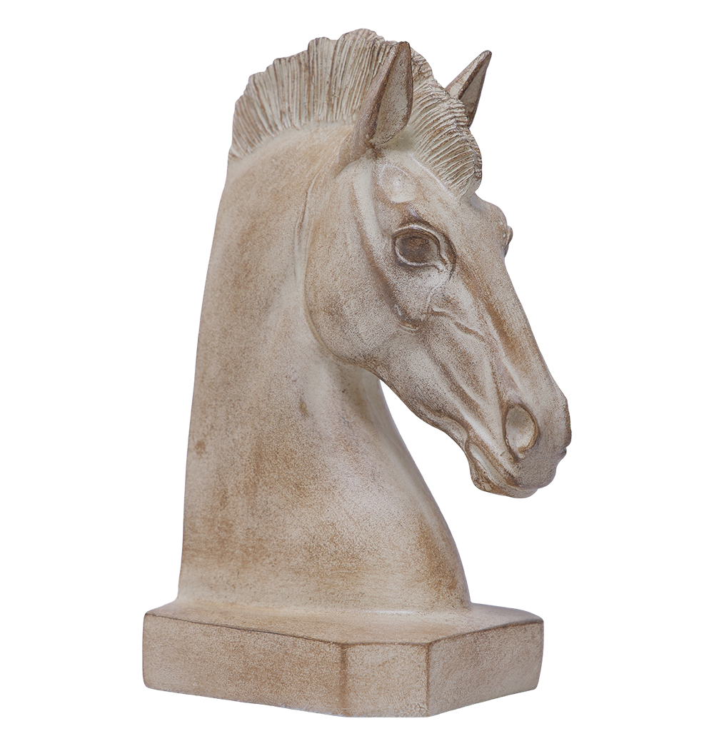 Stallion Spirit