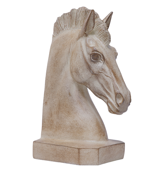 Stallion Spirit
